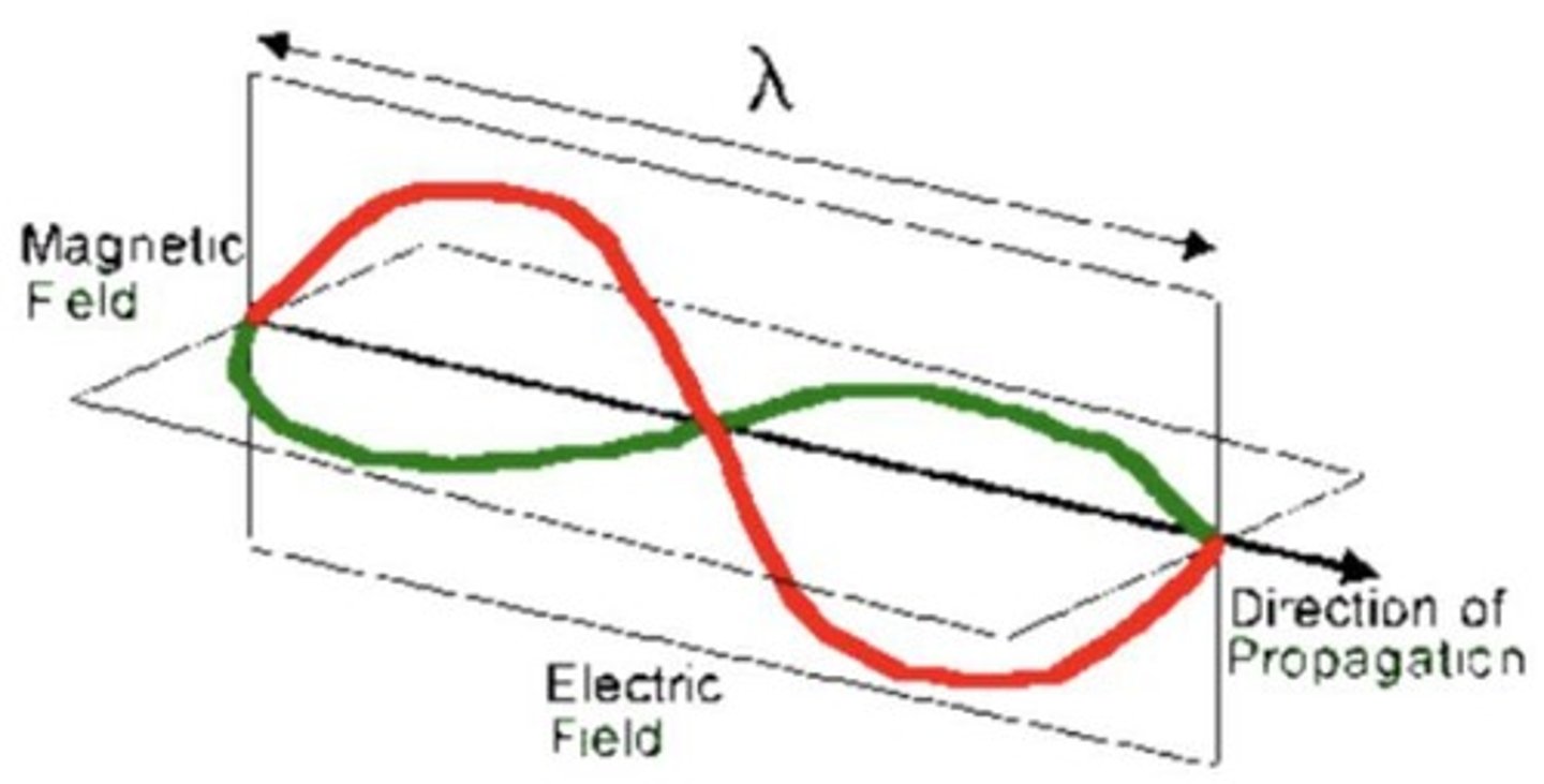 <p>Electromagnetic waves consist of electric and magnetic fields that oscillate perpendicular to each other and to the direction of wave propagation.</p>