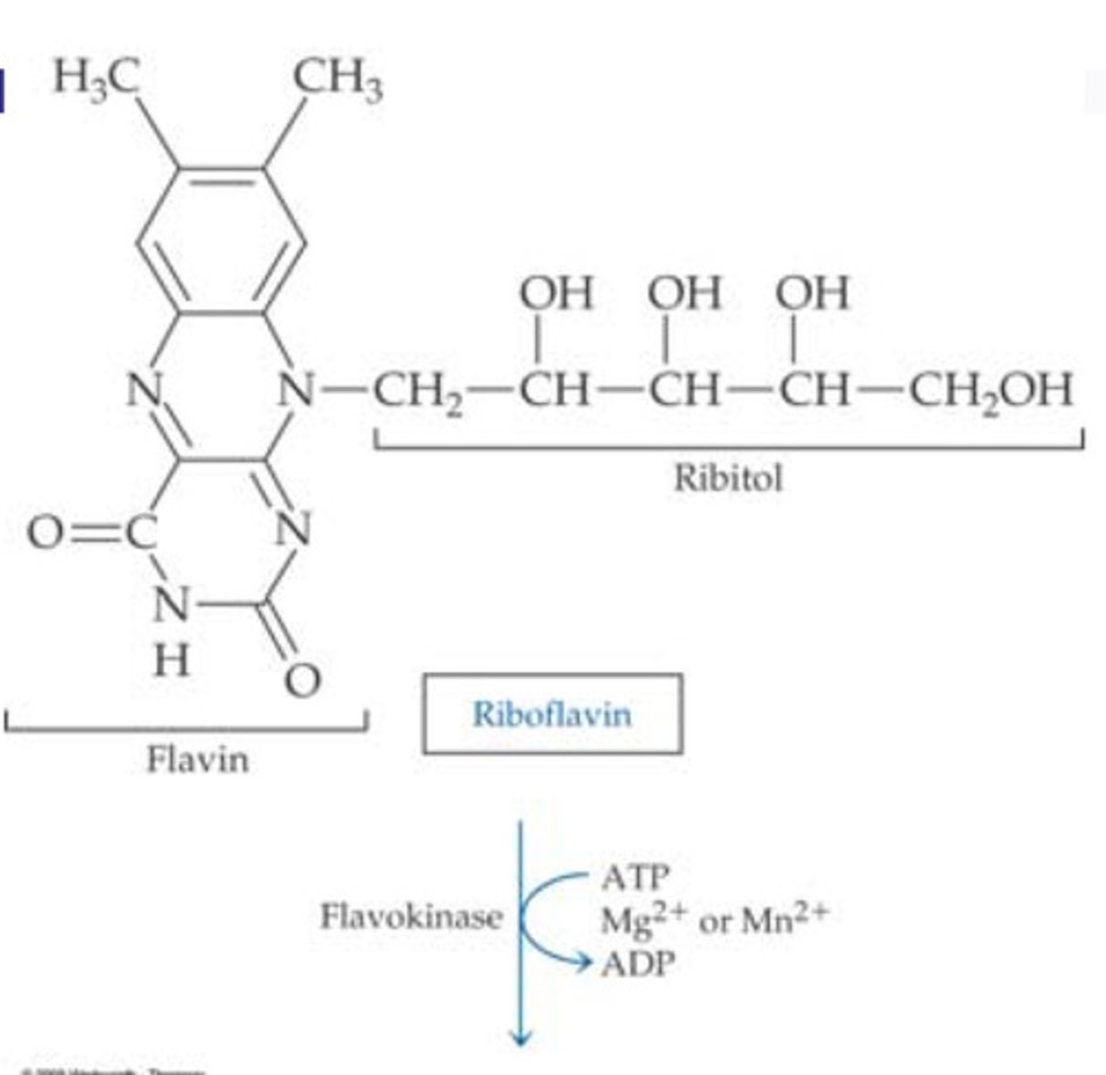 knowt flashcard image
