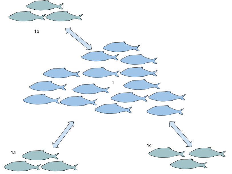 <p><span style="font-family: &quot;Baskerville Old Face&quot;;"><strong><span>Habitat/wildlife corridors</span></strong></span></p>