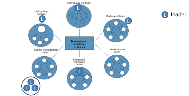 <ol><li><p><strong>Moderated team</strong>: leader acts as a moderator, coordinating and supporting the team</p></li><li><p><strong>Autonomous team</strong>: leader doesn’t exist, team is responsible for their own task achievement</p></li><li><p><strong>Integrated managed team</strong> : leader has fixed role, he is responsible for decision making, task implementation and fulfilment</p></li><li><p><strong>Led by management team</strong>: several team members who also act as leaders, decide tasks and responsibilities</p></li><li><p><strong>Led by team speaker:</strong> team speaker acts as a mediating role AND team member</p></li><li><p><strong>Individually led team:</strong> members have a bilateral interaction with leader but there is almost no connection between team members</p></li></ol>