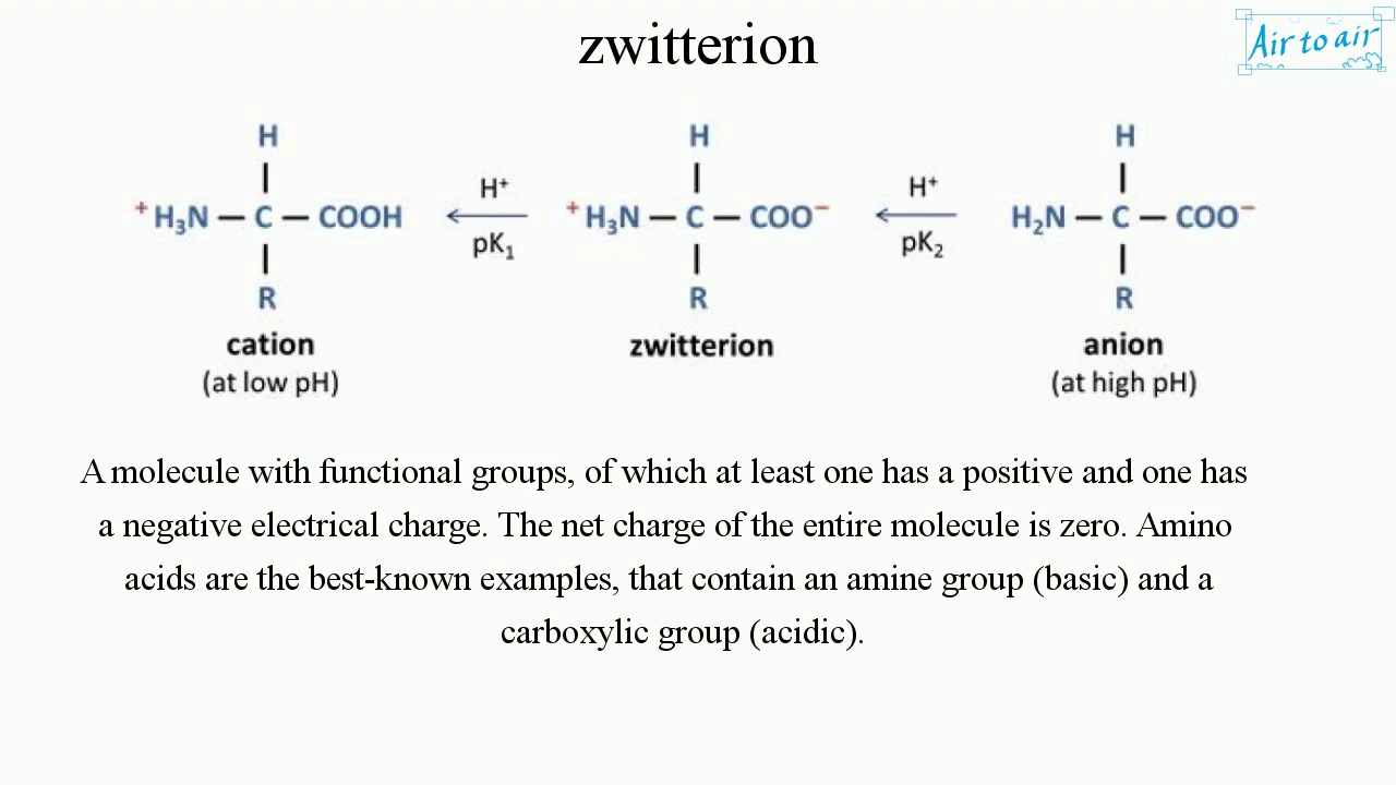 <p>At pH near the pI of the amino acid, the amino acid is a neutral</p>