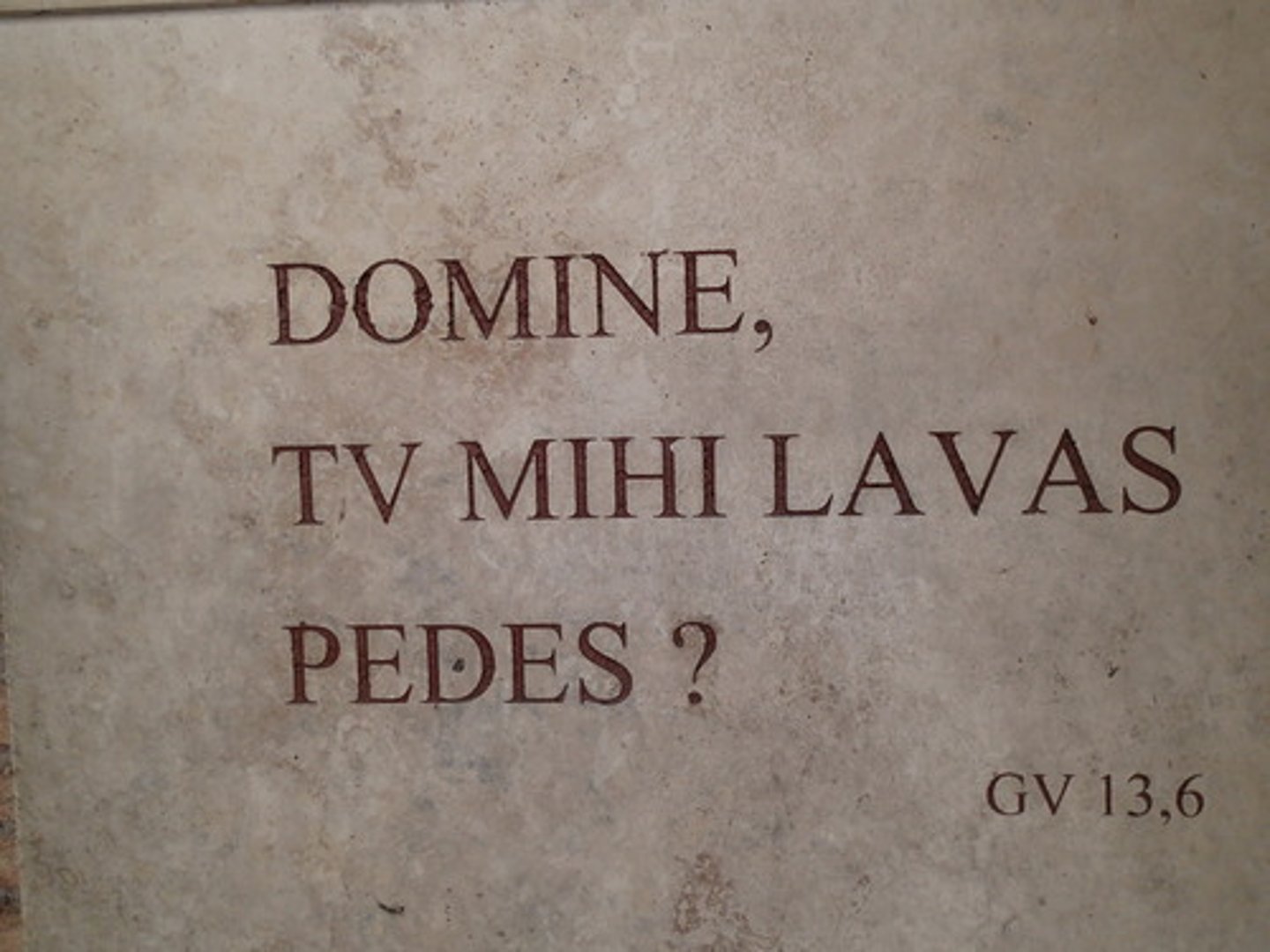 <p>latin</p>