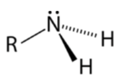 <p>Nitrogen atom bonded to one R group and two hydrogens</p>