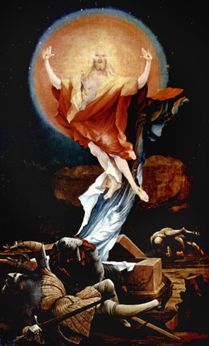 <p>The act of rising from the dead</p>