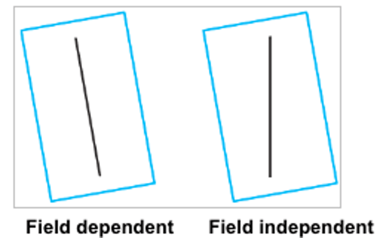 <p>field independent</p>