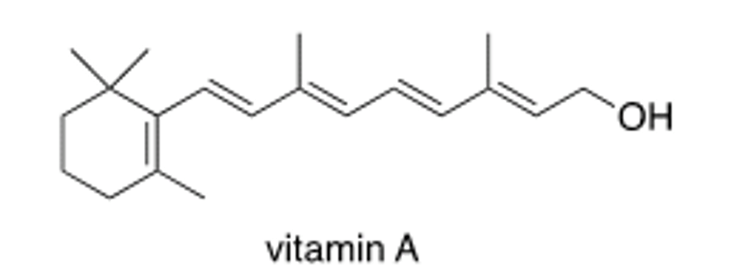 <p>D</p>