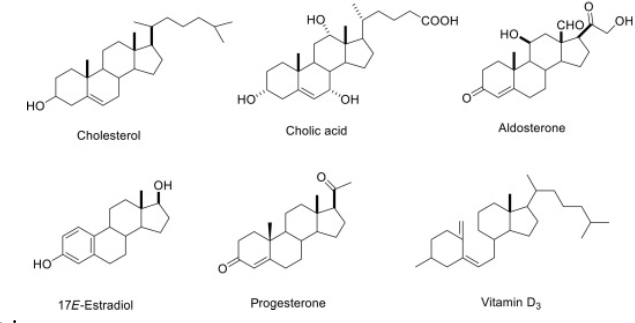 <p>-Carbon skeleton consisting of 4 fused rings -Functional groups attached to rings create variation between steroids -Ex: Cholesterol, Testerone and Estrogen (steroid hormones)</p>