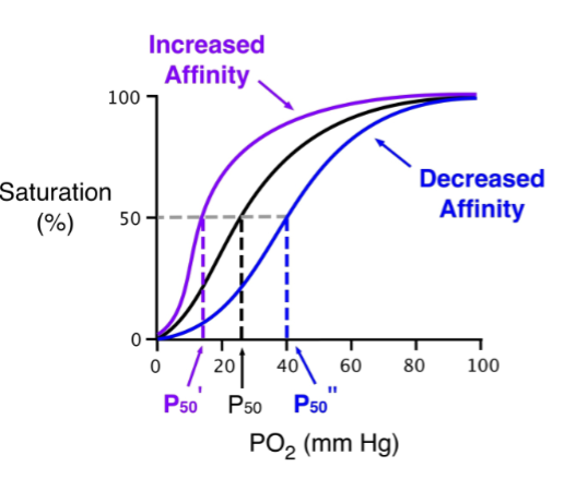 <p>describe a right shift happening in the dissociation curve </p>