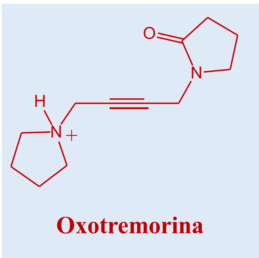 <p>Riconosci la molecola e descrivila</p>