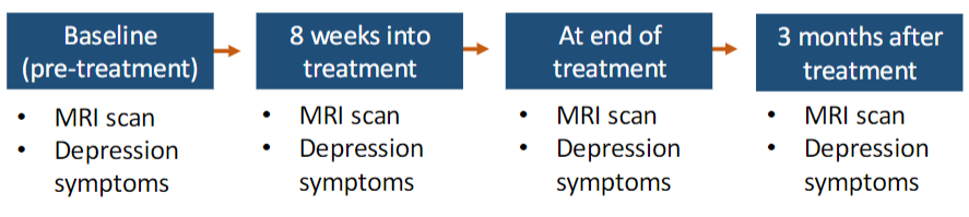 <p>What type of treatment study design is being utilized in the following image?</p>