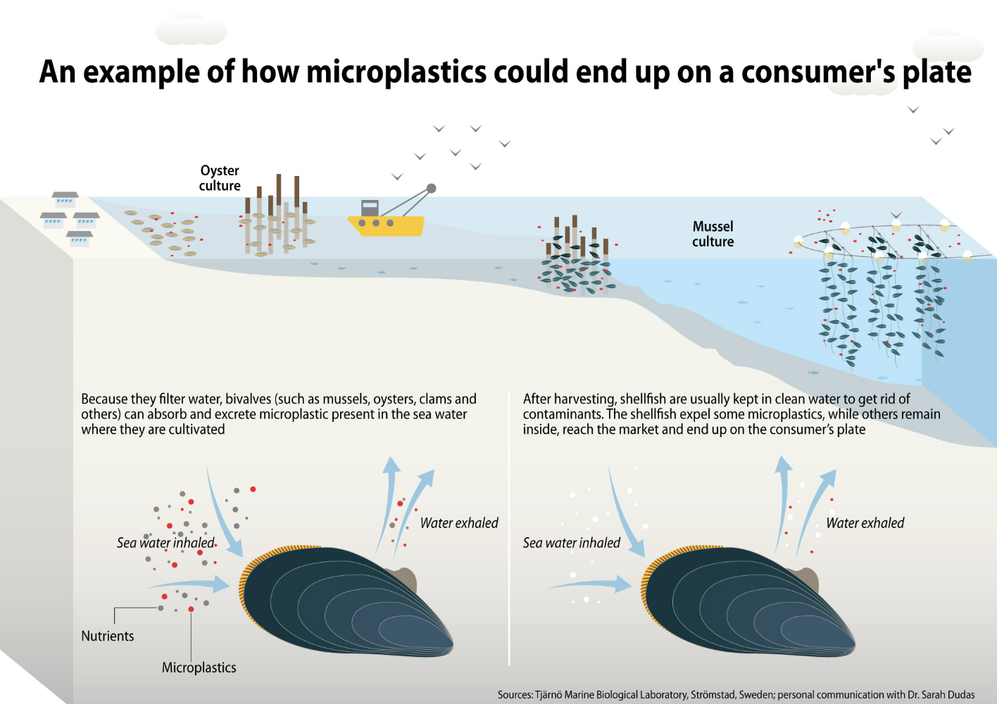<p><span>According to UNEP, every year 19-23 million tonnes of plastic waste enters aquatic ecosystems&nbsp;from the 430 million tonnes</span><sup> </sup><span>produced every year. The UN agreed to end plastic pollution and agree on a legally binding agreement by the end of 2024. UNEP has a good interactive&nbsp;</span>visual story<span>&nbsp;about plastic which is available in multiple languages.</span></p>