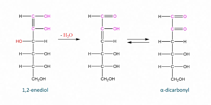 <p>Forms dicarbonyl</p>