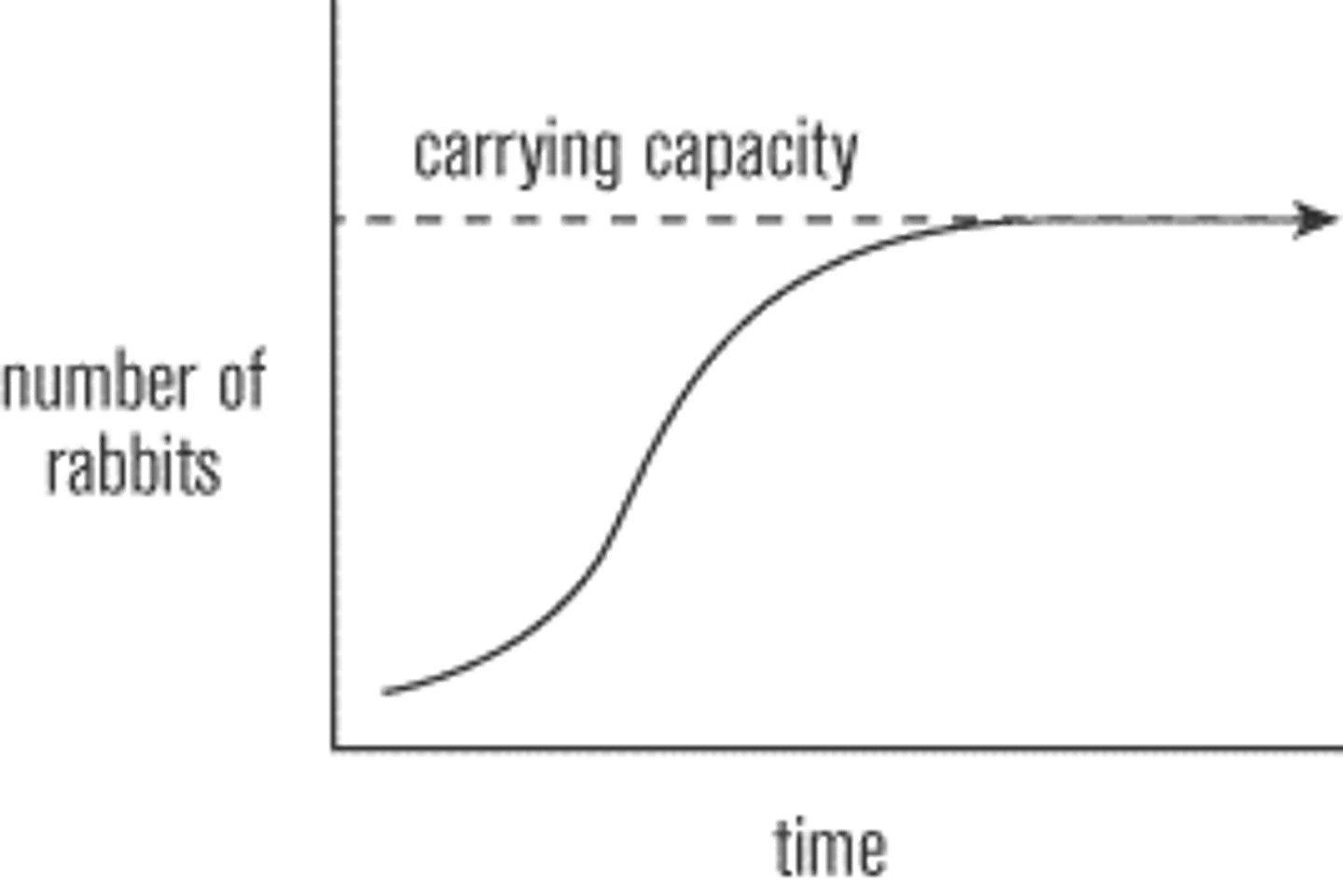 <p>The maximum number of a population that an ecosystem can sustain</p>