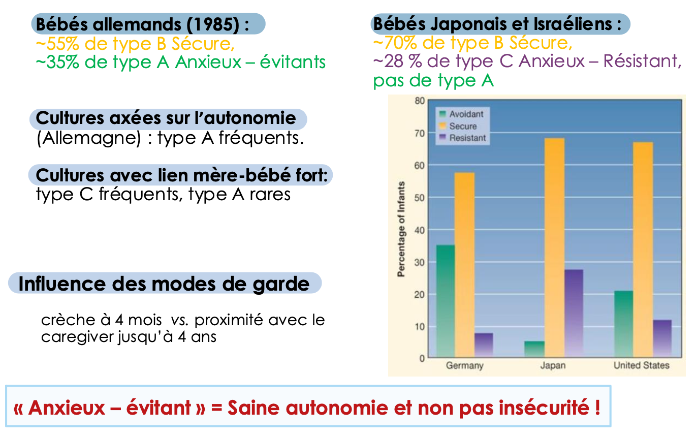 <p>La culture influence la manière dont les enfants sont élevés et les comportements d'attachement qui se développent. Elle détermine les attentes sociales vis-à-vis des interactions, ce qui peut façonner les styles d'attachement observés dans différentes sociétés. </p>