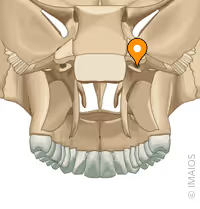 <p>Name the structure</p>