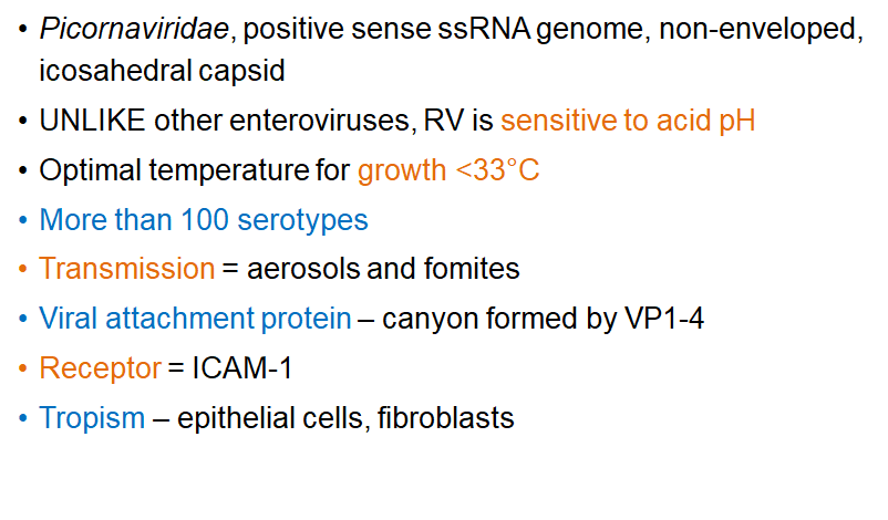 <p><strong>Aerosols</strong> and <strong>fomites</strong>.</p>