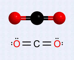 <p>How many non-bonding pairs of electrons, bonding electron pairs, pi bonds and sigma bonds are present in CO2?</p>