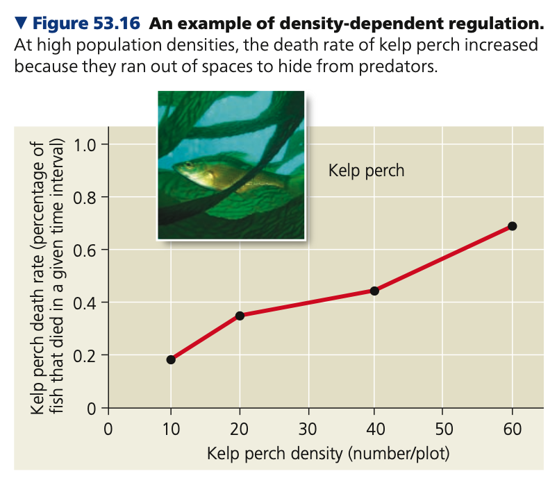 Mechanisms of Density-Dependent
Population Regulation
● Ultimately, at large population sizes, negative feedback is provided by density-______ regulation which halts population growth by reducing birth rates or increasing death rates
○ Without negative feedback, a population will never stop growing
○ No population can increase in size
indefinitely
○ Example. ___ perch’s (Brachyistius
frenatus) death rate rose proportionally as its density increased because the fish ran out of spaces in the kelp where they could hide from predators

● Increased densities cause population growth rates to decline by affecting reproduction, growth, and survival

● Negative feedback addresses why populations stop growing, but does not explain why some ______ dramatically while others remain relatively stable