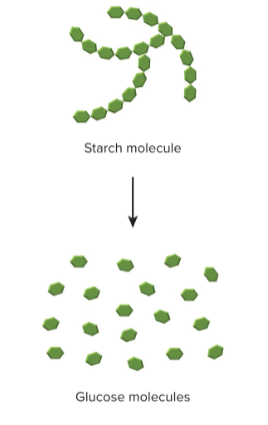 <p>Decomposition reactions</p>