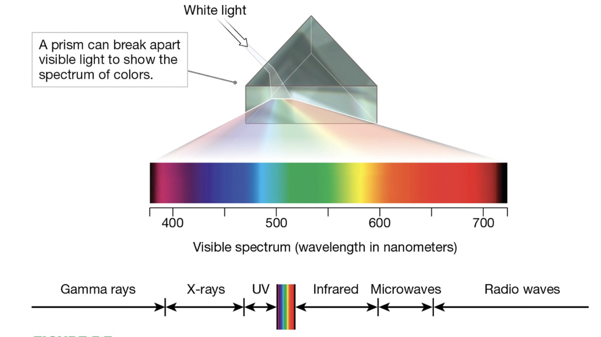 <p>electromagnetic</p>
