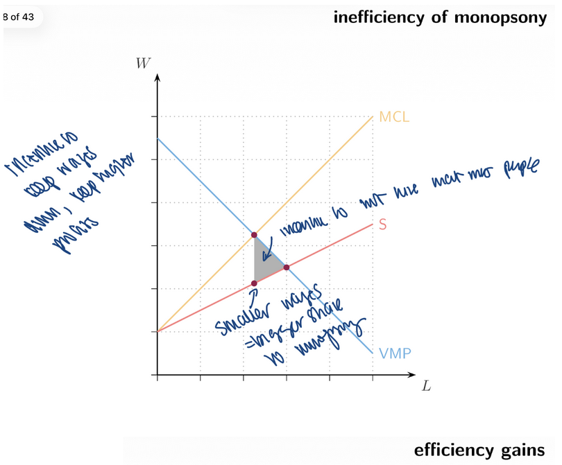 <p><span style="background-color: transparent; font-family: "Times New Roman", serif;"><strong><span>15. Monopsony Labour Market Outcome</span></strong></span></p><ul><li><p><span style="background-color: transparent; font-family: "Times New Roman", serif;"><span>Monopsony hires </span><strong><span>___ labour</span></strong></span></p></li><li><p><span style="background-color: transparent; font-family: "Times New Roman", serif;"><span>Pays a </span><strong><span>___ wage</span></strong></span></p></li><li><p><span style="background-color: transparent; font-family: "Times New Roman", serif;"><span>Creates </span><strong><span>___</span></strong><span> (inefficiency)</span></span></p></li></ul><p><span style="font-family: "Times New Roman", serif;"><span>Monopsonist chooses:</span></span></p><ul><li><p><span style="font-family: "Times New Roman", serif;"><span>Hire where </span><strong><span>____ = MCL</span></strong></span></p></li><li><p><span style="font-family: "Times New Roman", serif;"><span>Pay the wage from the ___ curve at that quantity</span></span></p></li></ul><p></p>