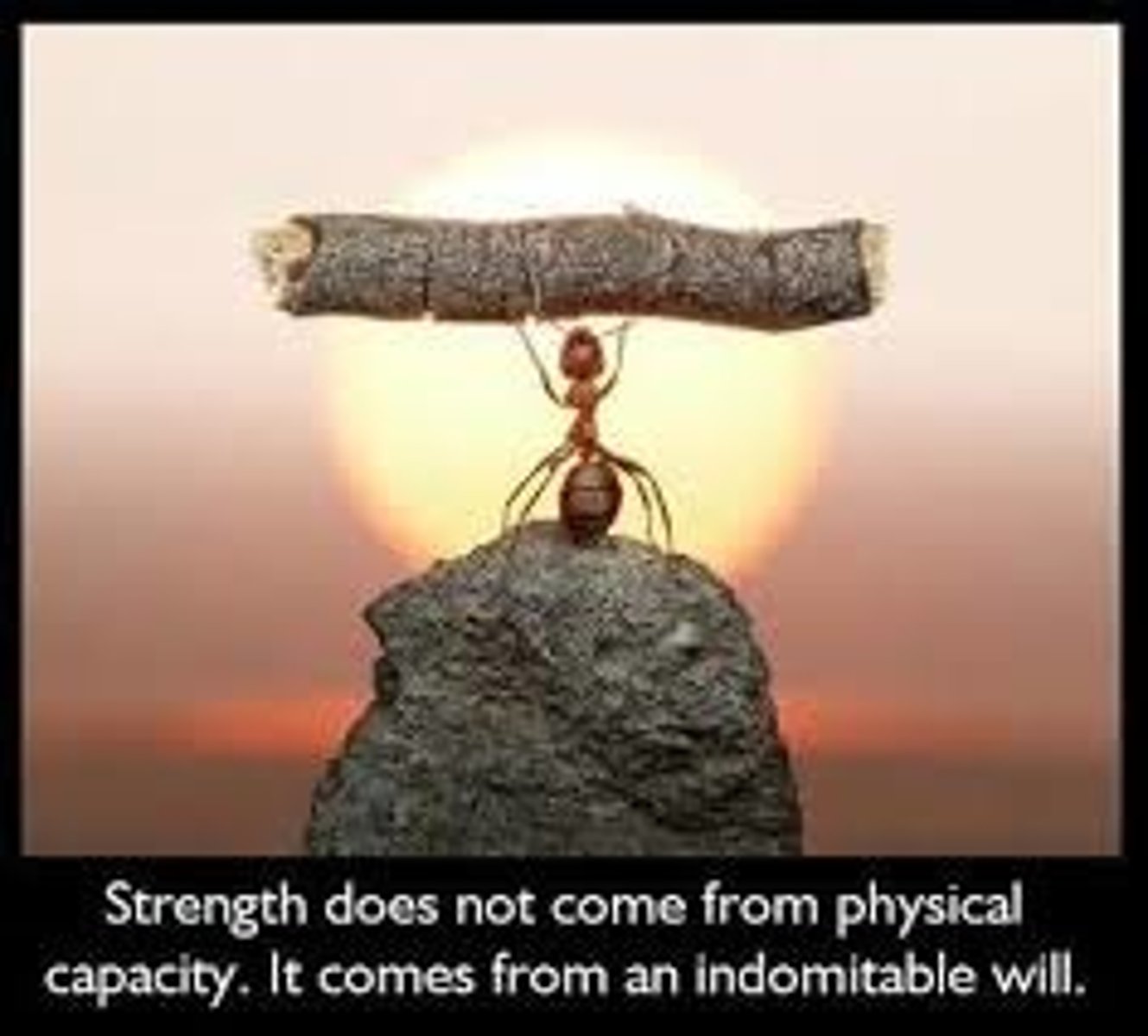 <p>(a) very determined; resolute, kiên định, bất khuất</p>