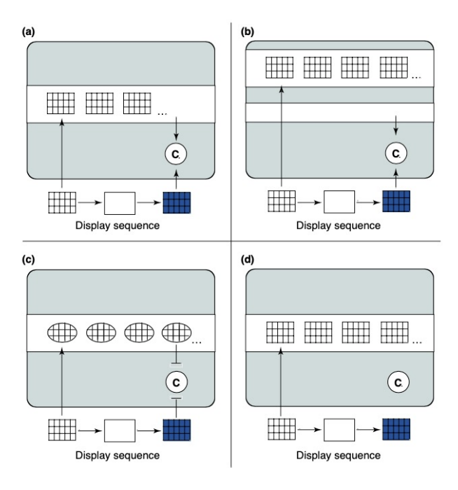 <ul><li><p>If the initial sensation IS complete, how</p><ul><li><p>can change blindness happen?</p><ol><li><p>It is initially complete, but quickly forgotten (block 1)</p></li><li><p>It is not the representation, but the comparison that fails (also block #4) (block 2)</p><ul><li><p>i.e. our sensation captures everything correctly, however our mental comparisons fail causing change blindness </p></li></ul></li><li><p>The initially complete sensation is recoded in a way that precludes comparison (block 3)</p></li></ol></li></ul></li></ul><p>Gap or no gap, perception is a process, a computation</p><ul><li><p>i.e. change blindness does not show that we do not capture all things in our perception</p></li></ul><p></p>