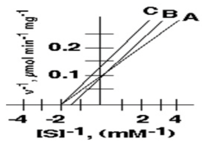 <ol start="3"><li><p>Curve <strong>B</strong> depicts the effect of an inhibitor on the system described by curve <strong>A</strong>. This inhibitor:</p></li></ol><ul><li><p>Is a competitive inhibitor</p></li><li><p>Is a non competitive inhibitor</p></li><li><p>Increases the Vmax</p></li><li><p>Decreases the KM</p></li><li><p>None</p></li></ul>