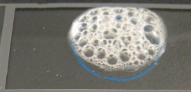 <p>is this catalase result positive or negative?</p>