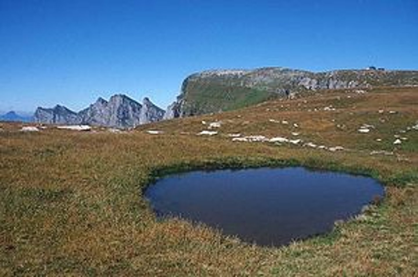 <p>non-flowing water</p><p>----------------</p><p>EXAMPLE:</p><p>- ponds</p><p>- lakes</p><p>- wetlands</p>