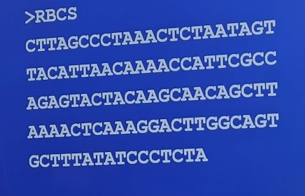 <p>&gt; or (carat) symbol in front of a DNA sequence suggests that the sequence is in _____ format</p>