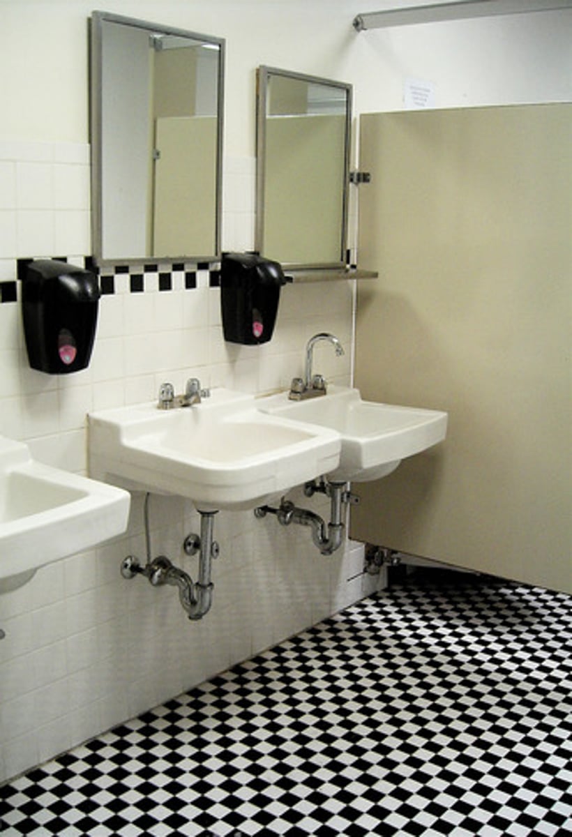 <p>el cuarto de baño / los servicios / el aseo</p>