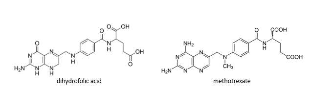 <p>dihydrofolate reductase (DHFR)—&gt; inhibits the conversion of dihydrofolate to tetrahydrofolate</p>