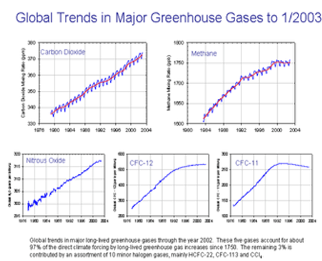 <ul><li><p>Synthetic greenhouse gases introduced by humans that contribute to the enhanced greenhouse effect</p></li></ul><p></p>