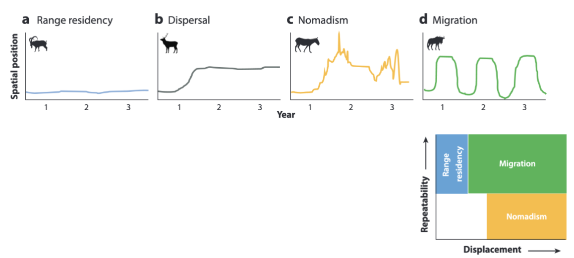 <p>spatial position on y axis</p><p>year on x axis</p><ul><li><p>xeric animals are usually nomadic (dont go back to space)</p></li></ul><p></p>