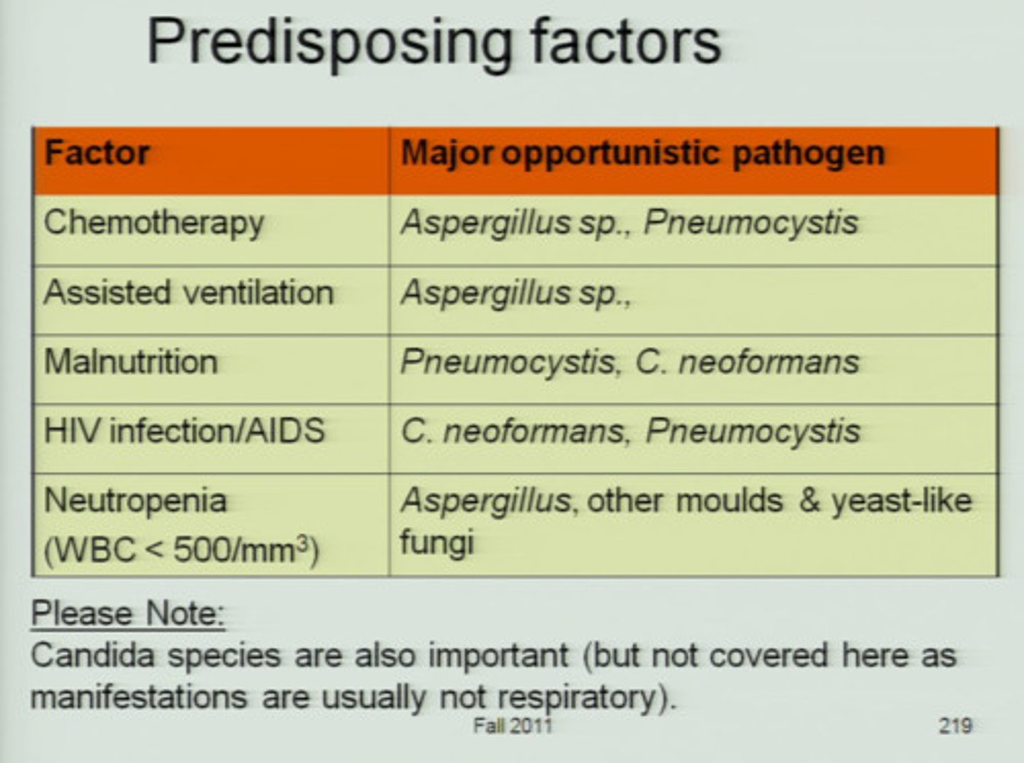 <p>infection caused by organisms that do not normally cause disease in healthy hosts</p>