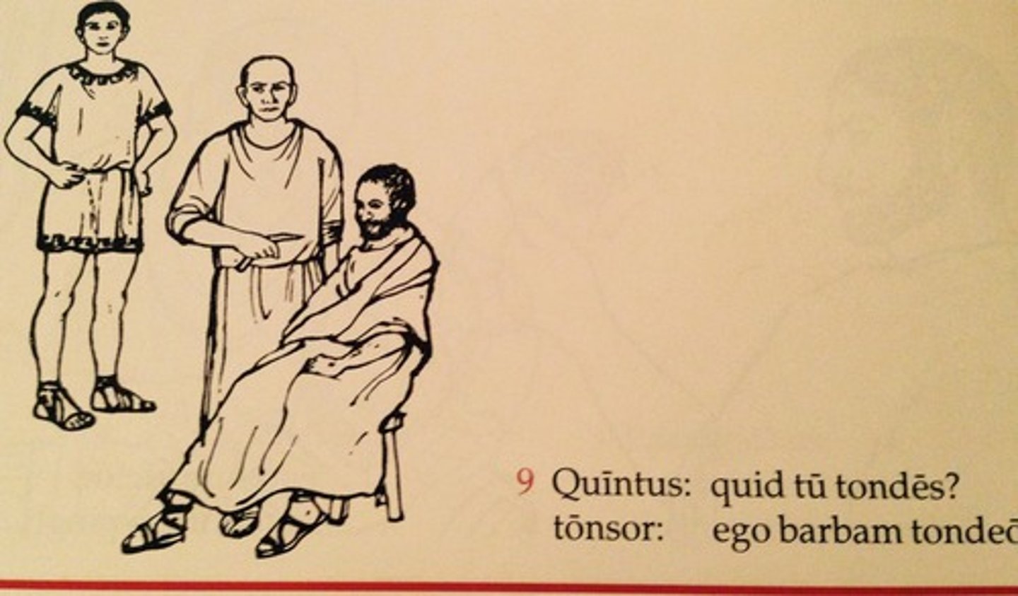 <p>Quīntus: What are you shaving?</p><p>barber: I am shaving a beard.</p>