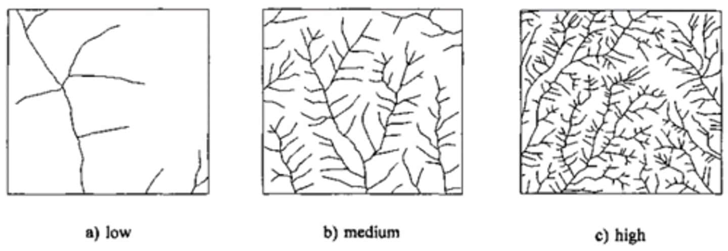 <p>A measure of the amount of water in a drainage basin; it is calculated by adding up the length of all the rivers and streams and dividing it by the area of the drainage basin.</p>