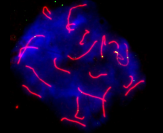 <p>bespreek wat we hier zien</p>