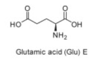 <p>Glu</p>