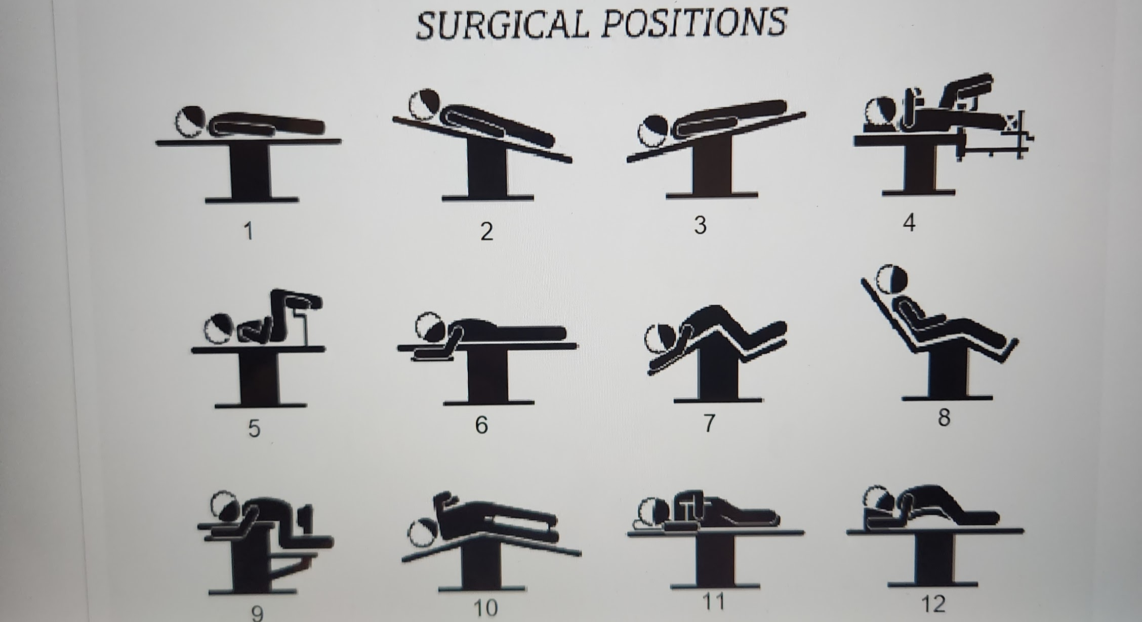 <p>the surgical position #3 and #2 are related. thus #3 is termed reverse ________ (#2 is just that filled in word)</p>