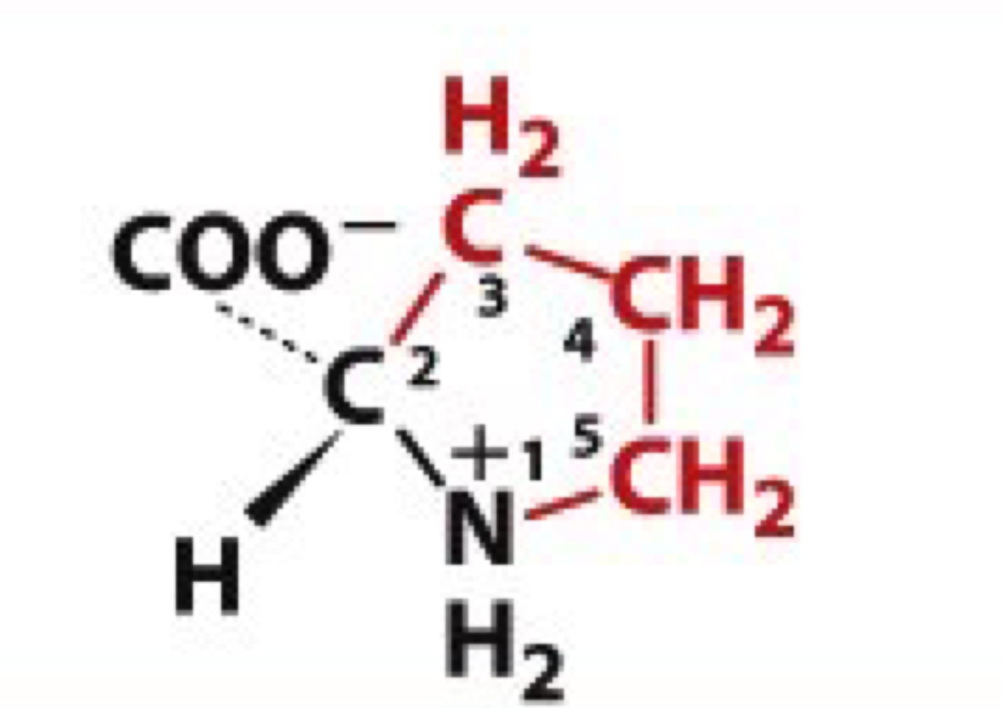<ul><li><p>Pro, P</p></li><li><p>non-polar</p></li></ul><p></p>