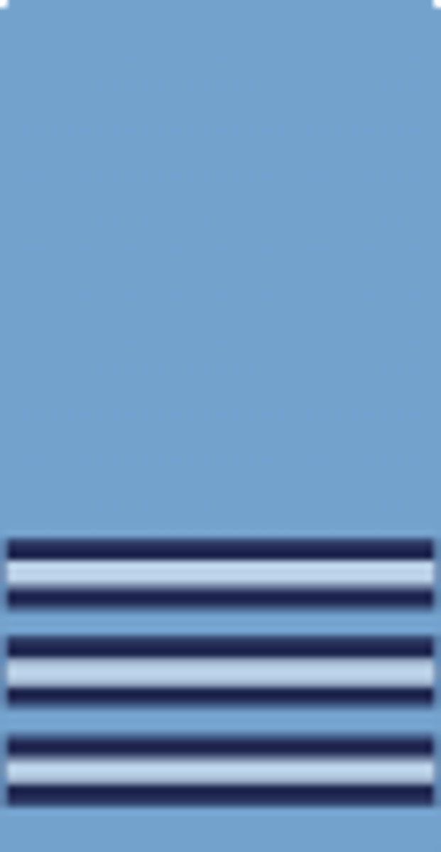 <p>Wing commander</p>