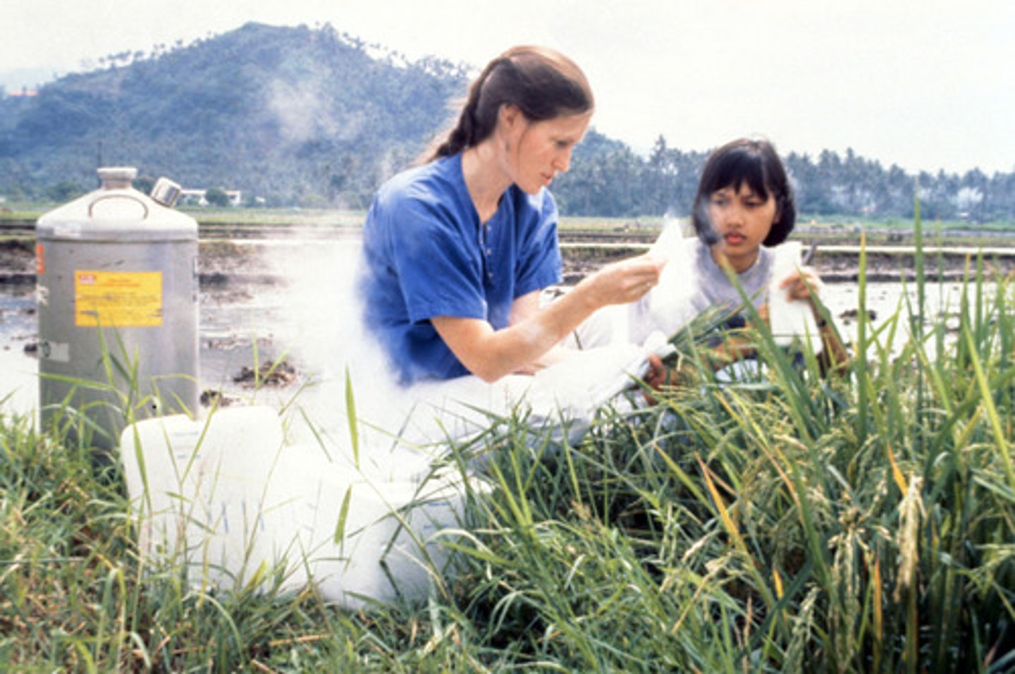 <p>Takes place in a natural environment that might affect the DV (Weather, Time of day, etc.)</p><p>Strengths</p><p>- Has high ecological validity, participants do NOT know that they are part of</p><p>the study</p><p>- little to no demand characteristics</p><p>- behavior more natural and valid.</p><p>Weakness</p><p>- Situational variables hard to control so difficult to know if the IV affecting the</p><p>DV</p><p>- ethical guidelines (informed consent and deception)</p>
