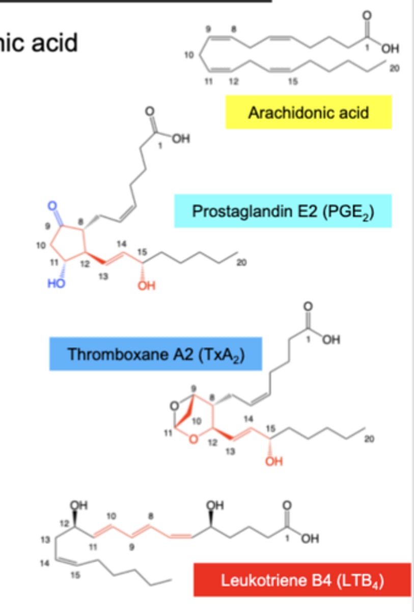 <p>Eiconasoids: Prostaglandins, Thromboxanes and Leukotrienes</p>
