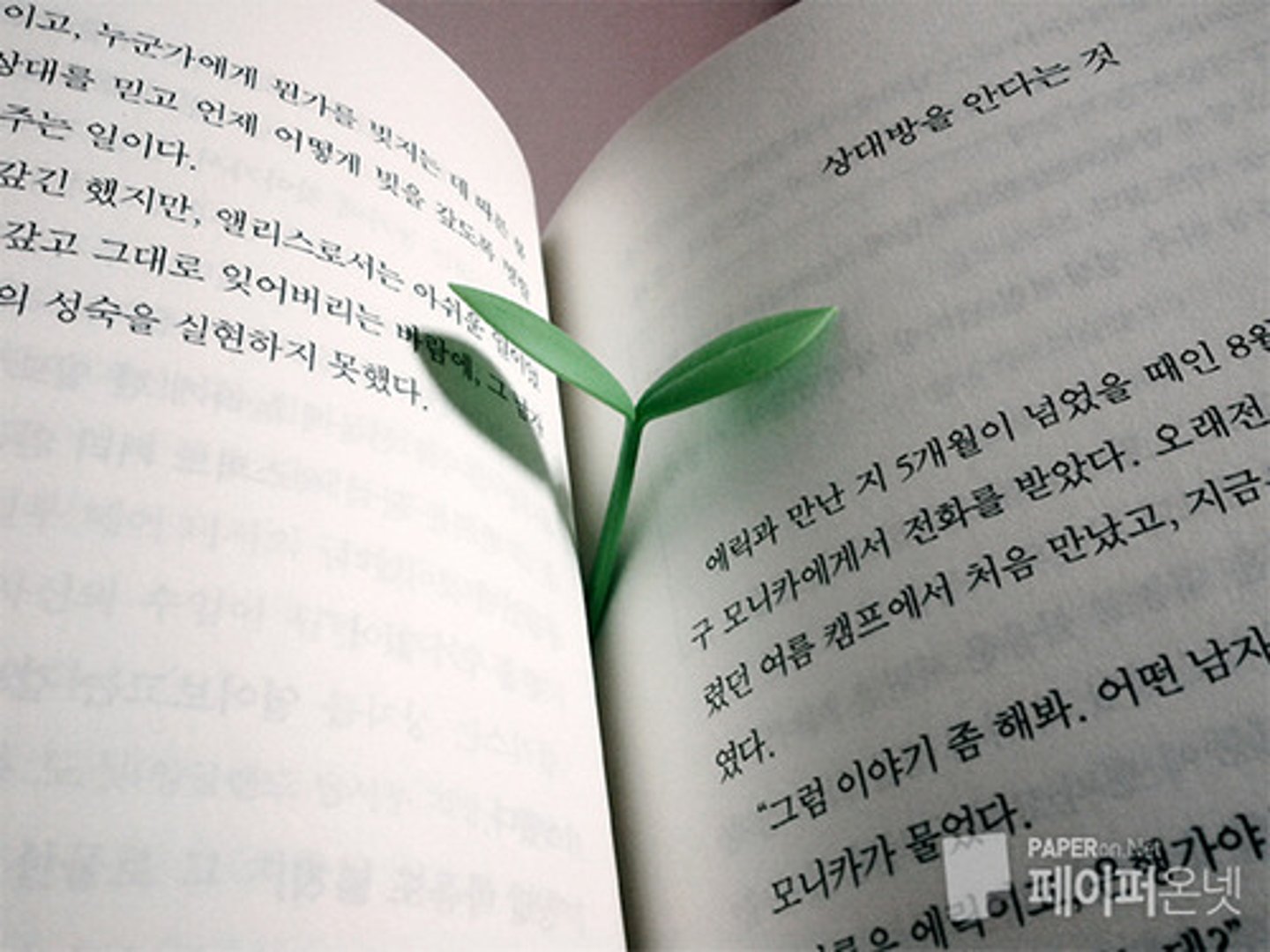 <p>tiểu thuyết</p><p>소설책을 읽는 것을 좋아해요</p><p>Tôi thích đọc tiểu thuyết</p>