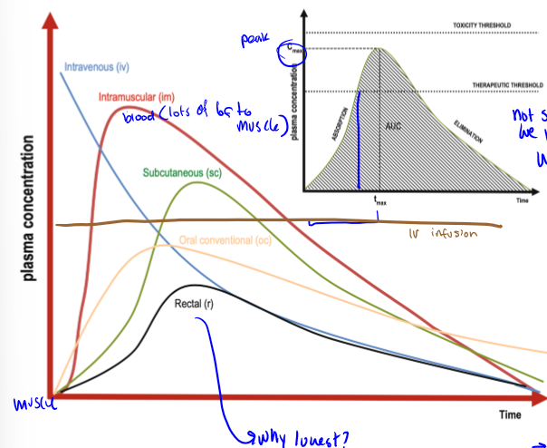 <p>constant plasma concentration, injected amount is initial plasma amount</p>