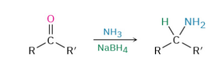<p>reductive amination of aldehydes/ketones</p>