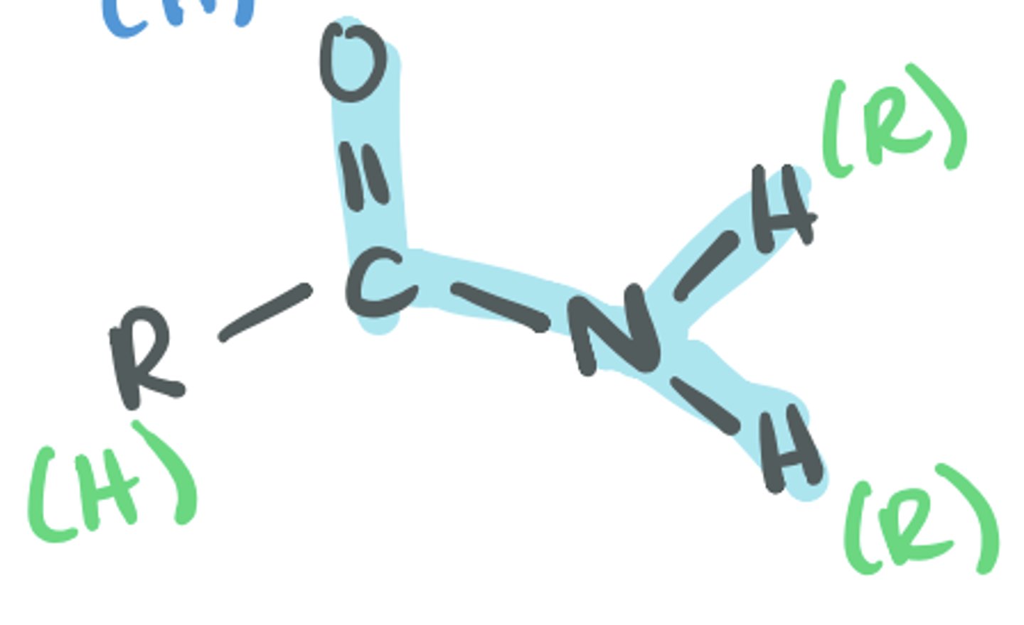 <p>Has the C=O then a bond to an N, the N can be bonded to 2 Hs, 1 H, 1 R, or 2 R groups</p>
