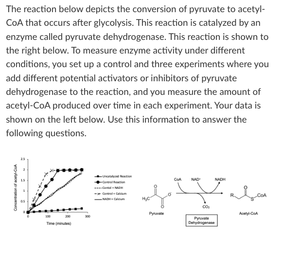 <p>T/F: The addition of calcium and NADH together decreases pyruvate dehydrogenase activity.</p>